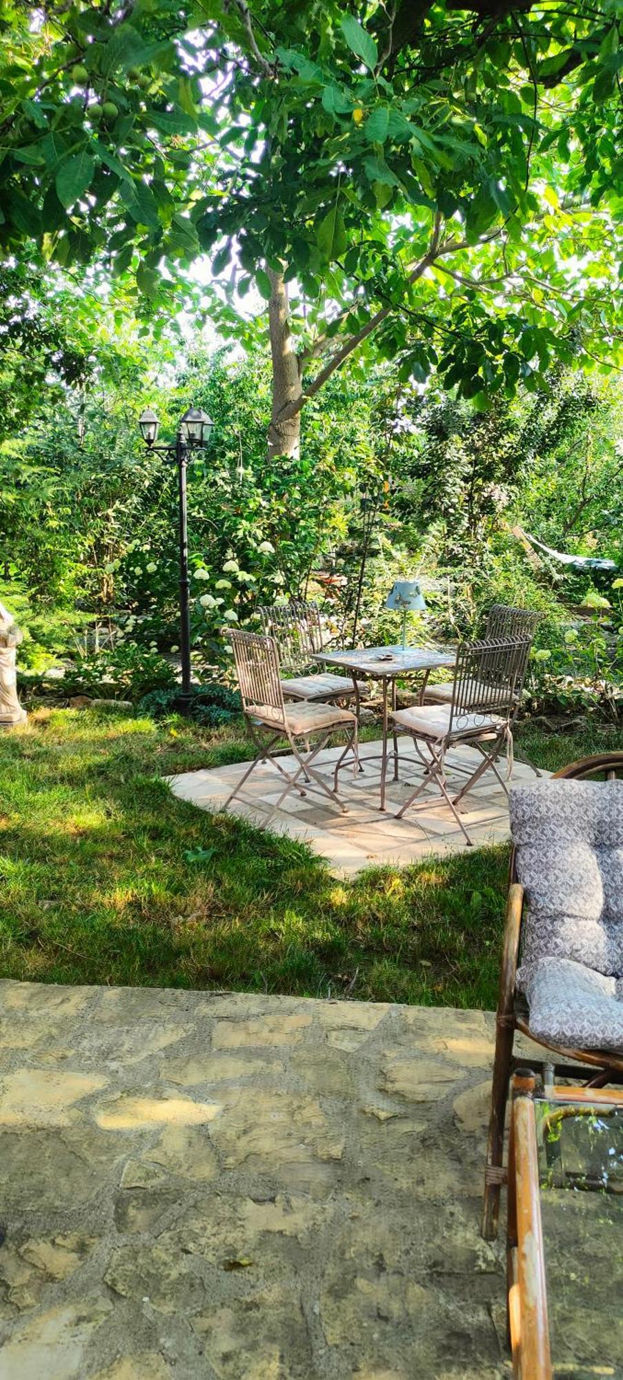 Casa Magnolia Hotell Douăzeci şi Trei August Eksteriør bilde